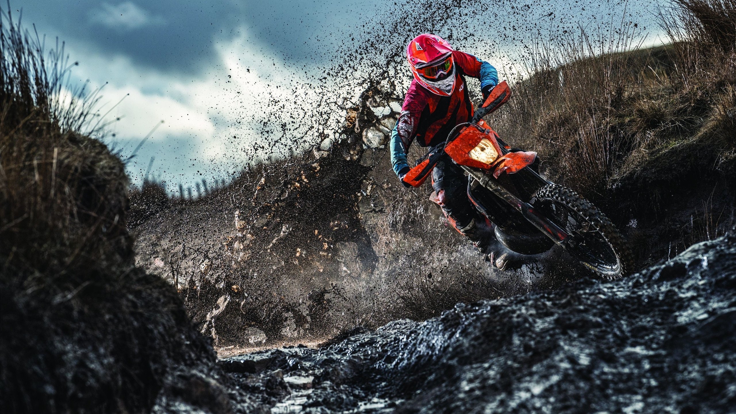 随机意大利骑手弗洛尔·德·温内在2024年欧洲三项赛锦标赛中以“Thunder”马匹获得个人铜牌，表现出色。