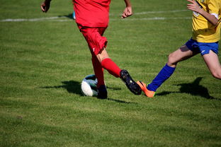 开云下载-“拳王争霸：四川省体育馆拳击赛将诞生新的世界拳王”